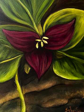 Red Trillium